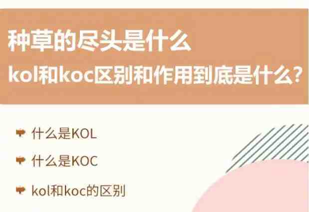 小红书kol和koc达人有什么区别？达人种草须知！