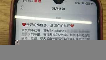 小红书举报话术（小红书举报话术怎么写金融类）