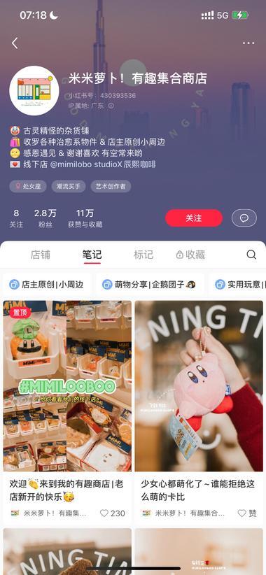 小红书店铺线上运营获得不错新增量 4