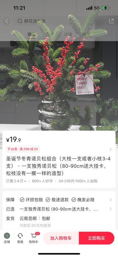 小红书店铺卖小圣诞树，24小时内销量达2000+ 4