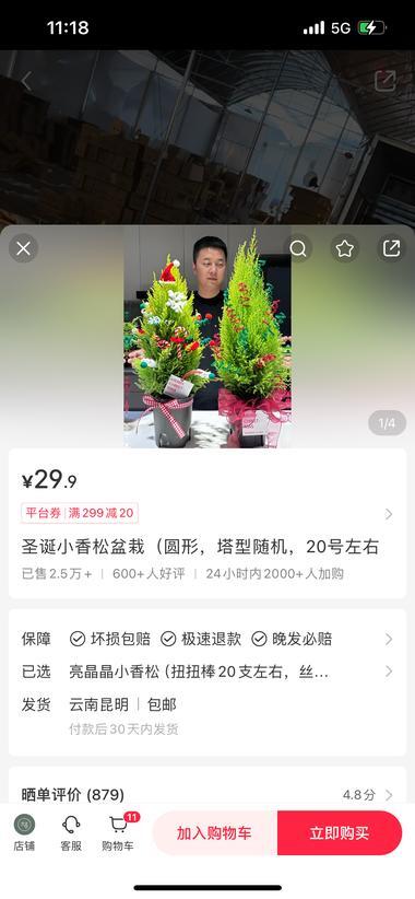 小红书店铺卖小圣诞树，24小时内销量达2000+ 2