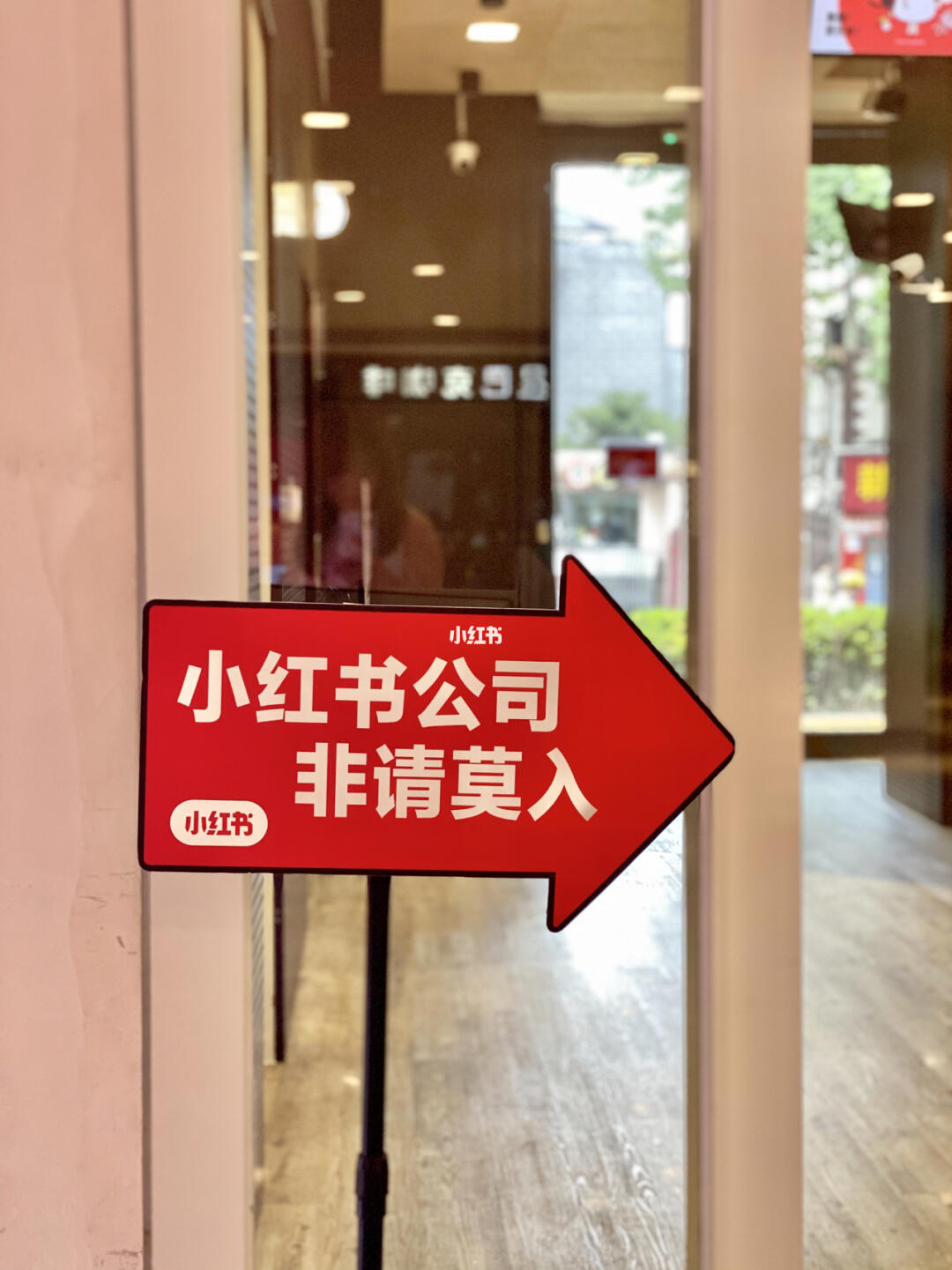 小红书电商产品赛道（小红书电商产品竞争与机遇分析）